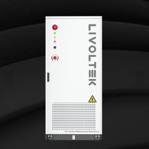 Livoltek Industrial And Commercial ESS PCS 200Kwh And Transformer Lithium Battery 
