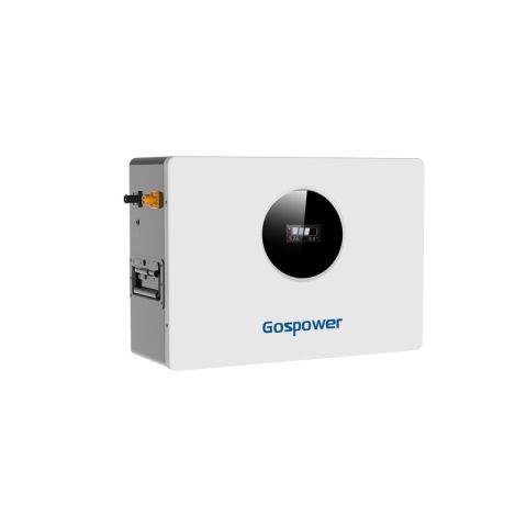 Gospower 2.56kWh 25.6v 100ah GPLB-24100M lithium battery 10years warranty