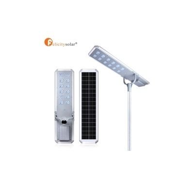 Felicity D2 80W All in One Solar Light