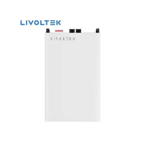 Livoltek 5.12kWh (51.2V 100Ah) Lithium LiFePO4 Battery – BLF-B51100